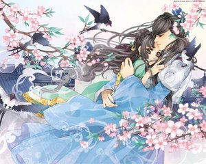 含羞草实验研究所隐藏路2024
